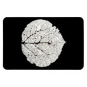 Aspen Leaf Skeleton 1 Magnet (Horizontal)