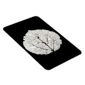 Aspen Leaf Skeleton 1 Magnet (Rechte Seite)