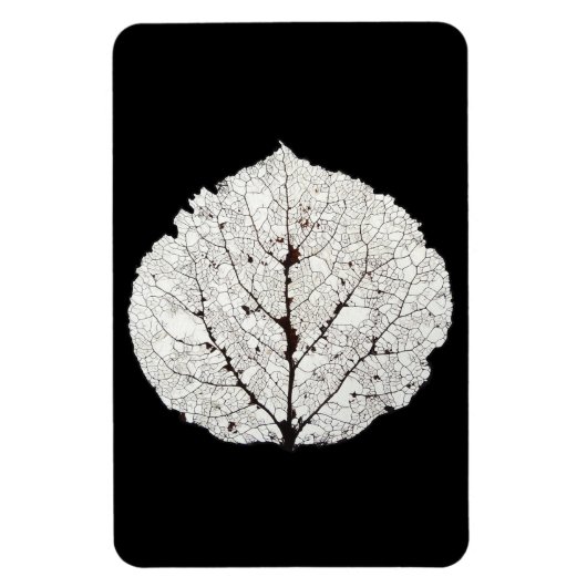 Aspen Leaf Skeleton 1 Magnet (Vertikal)