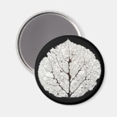 Aspen Leaf Skeleton 1 Magnet (Vorderseite/Rückseite)
