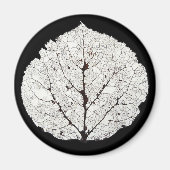 Aspen Leaf Skeleton 1 Magnet (Vorne)
