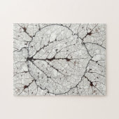 Aspen Leaf Skeleton 1 Puzzle (Horizontal)