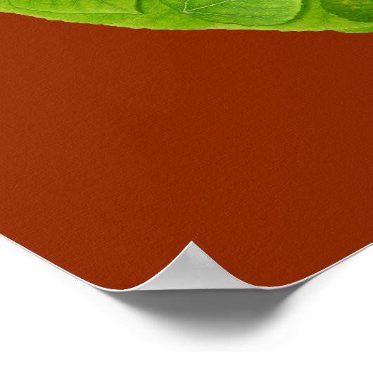 Aspen Leaf Skull 10 Poster (Ecke)