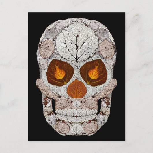 Aspen Leaf Skull 11 Postkarte (Vorderseite)