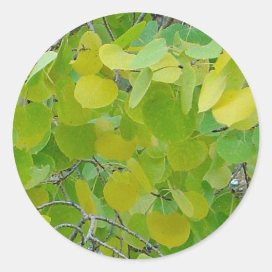 Aspen Leaf Stickers (Vorderseite)