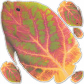 Aspen Leaf Tropische Fische 1 Aufkleber (Vorderseite)