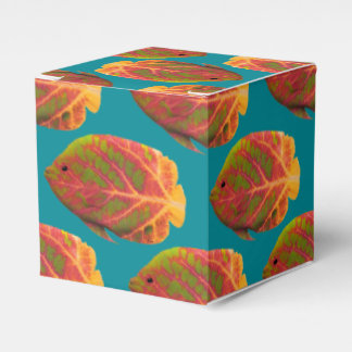 Aspen Leaf Tropische Fische 1 Geschenkschachtel