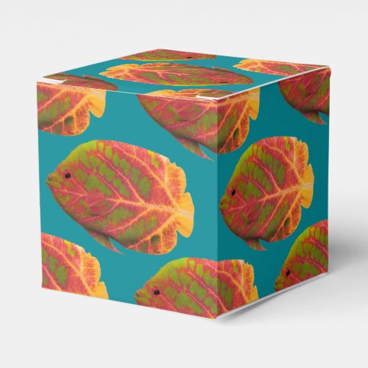 Aspen Leaf Tropische Fische 1 Geschenkschachtel (Vorderseite)
