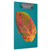 Aspen Leaf Tropische Fische 1 Klemmbrett (Rechts)