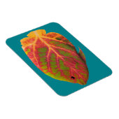 Aspen Leaf Tropische Fische 1 Magnet (Rechte Seite)