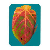 Aspen Leaf Tropische Fische 1 Magnet (Vertikal)