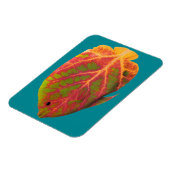 Aspen Leaf Tropische Fische 1 Magnet (Linke Seite)