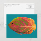 Aspen Leaf Tropische Fische 1 Postkarte (Vorne/Hinten)