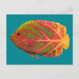 Aspen Leaf Tropische Fische 1 Postkarte