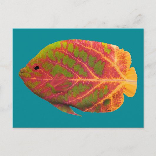 Aspen Leaf Tropische Fische 1 Postkarte (Vorderseite)