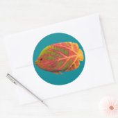 Aspen Leaf Tropische Fische 1 Runder Aufkleber (Umschlag)