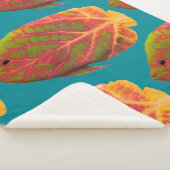 Aspen Leaf Tropische Fische 1 Sherpadecke (3/4)
