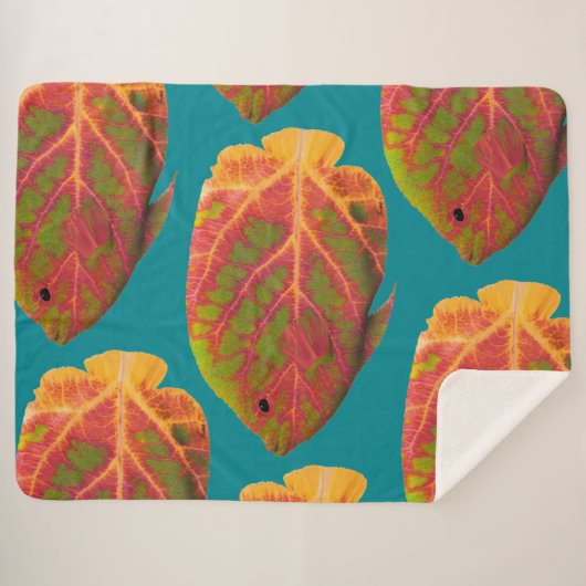 Aspen Leaf Tropische Fische 1 Sherpadecke (Vorderseite (Horizontal))