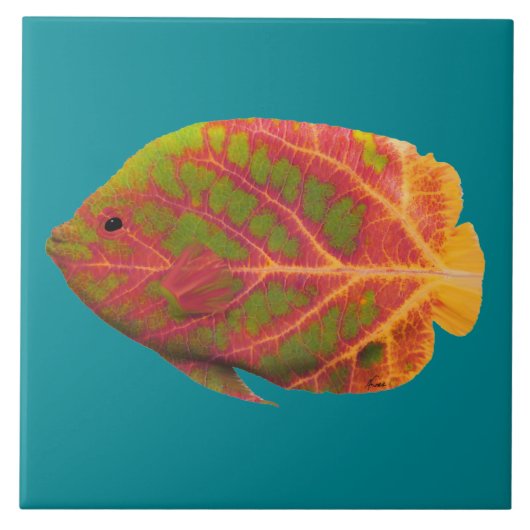 Aspen Leaf Tropischer Fisch 1 Fliese (Vorderseite)