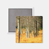 Aspen-Magnet Magnet (Vorderseite/Rückseite)