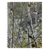 Aspen Notizblock (Vorderseite)