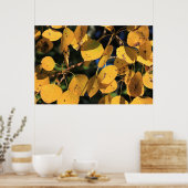 Aspen Poplar-Blätter im Herbst Poster (Küche)