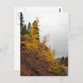 Aspen Postkarte (Vorne/Hinten)