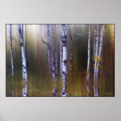 Aspen Reflections Poster (Vorne)
