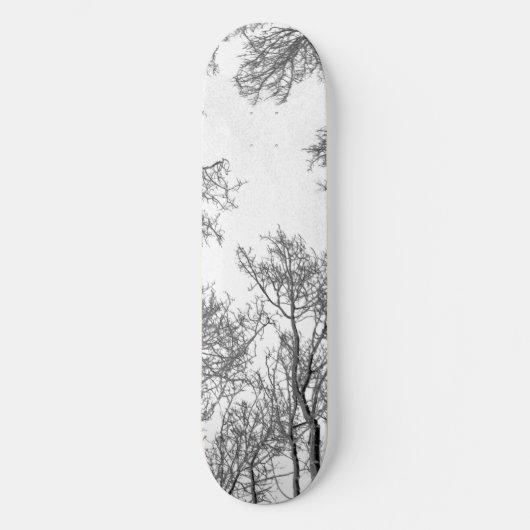Aspen Skateboard Deck - Weiße Nacht (Vorderseite)