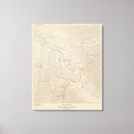 Aspen Special Leinwanddruck (Vorderseite)