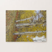 Aspen Splendor Nature Puzzle (Horizontal)