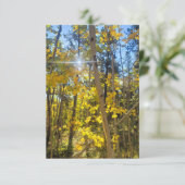 Aspen Sun Card Dankeskarte (Stehend Vorderseite)