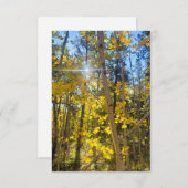 Aspen Sun Card Dankeskarte (Vorne/Hinten)