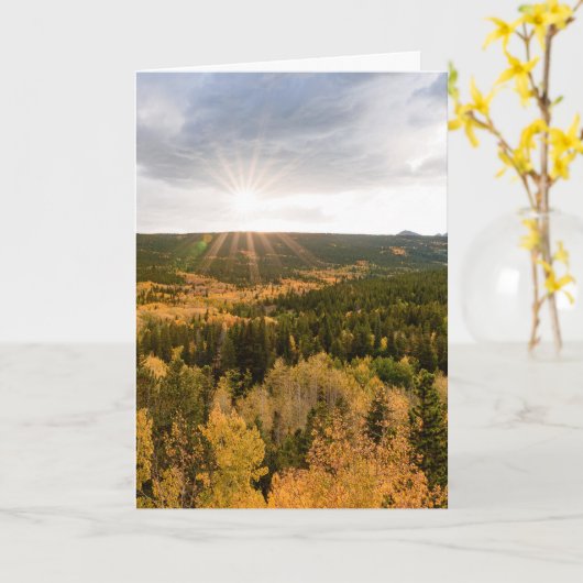 Aspen Sunset Karte (Gelbe Blume)