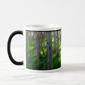 Aspen-Tasse Verwandlungstasse (Links)
