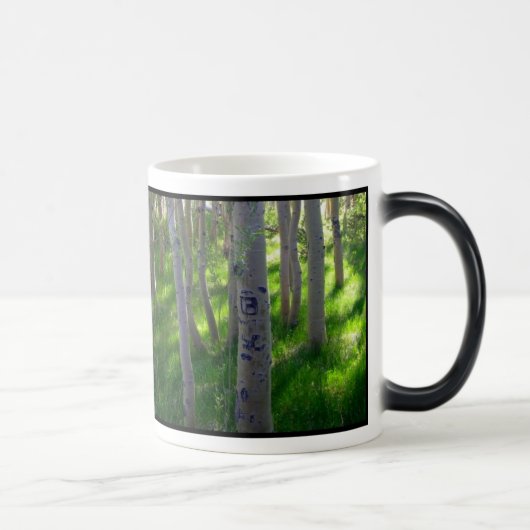 Aspen-Tasse Verwandlungstasse (Rechts)