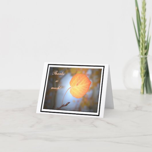 Aspen Thank You Note Card Dankeskarte (Vorderseite)