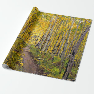 Aspen Tree Forest im Herbst Geschenkpapier