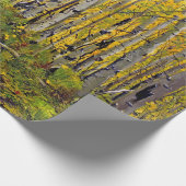 Aspen Tree Forest im Herbst Geschenkpapier (Ecke)
