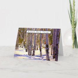 Aspen Tree Forest in Flagstaff, AZ Karte