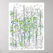 Aspen Tree Grove Pen und Tinte Zeichnend Poster (Vorne)