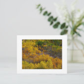 ‚Aspen Tree Hill‘ Postkarte (Stehend Vorderseite)