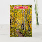 Aspen Tree Holiday oder Ocassion Greeting Card (Vorderseite)