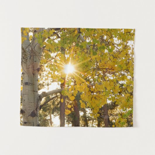 Aspen Tree mit Gelbfall Foliage Sunburst 34x40 Wandteppich (Vorderseite (Horizontal))