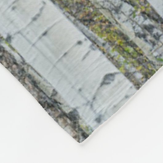 Aspen Tree Trunks | Aspen, Colorado Fleecedecke (Ecke)