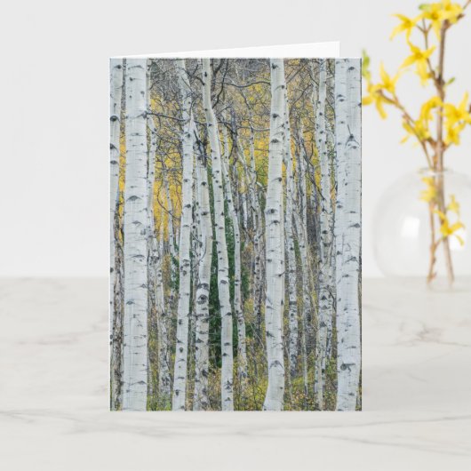 Aspen Tree Trunks | Aspen, Colorado Karte (Gelbe Blume)