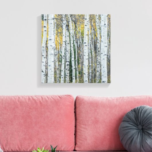 Aspen Tree Trunks | Aspen, Colorado Leinwanddruck (Insitu (Wohnzimmer))