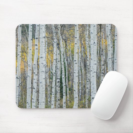 Aspen Tree Trunks | Aspen, Colorado Mousepad (Mit Mouse)