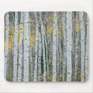 Aspen Tree Trunks Aspen, Colorado Mousepad