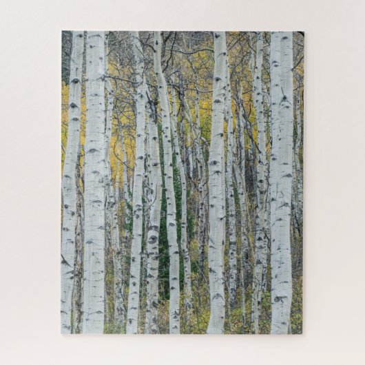 Aspen Tree Trunks | Aspen, Colorado Puzzle (Vertikal)
